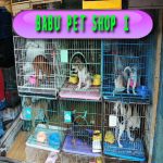 Babu Pet Shop 1